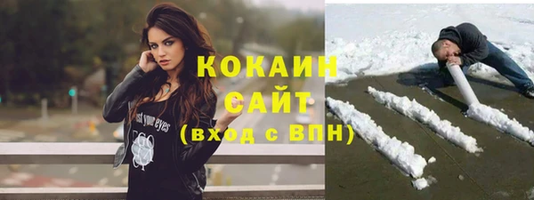 индика Новокубанск