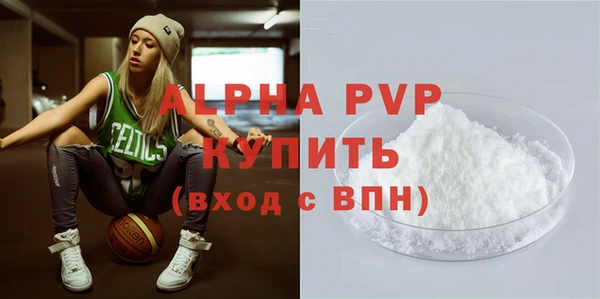 индика Новокубанск