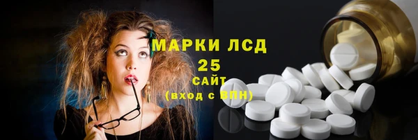 крисы Новозыбков