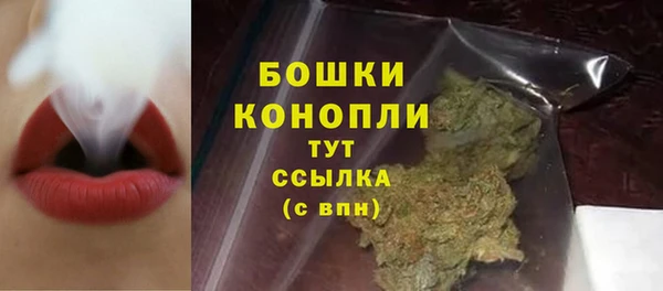 индика Елабуга