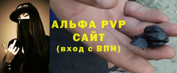 гашик Нефтекумск