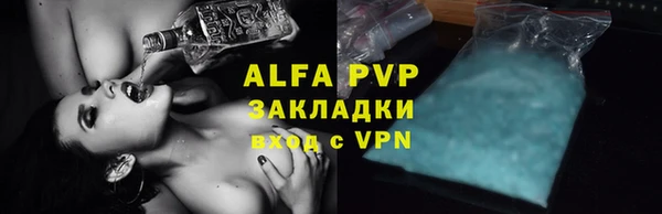 индика Новокубанск
