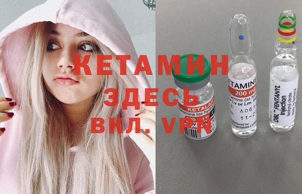 крисы Новозыбков
