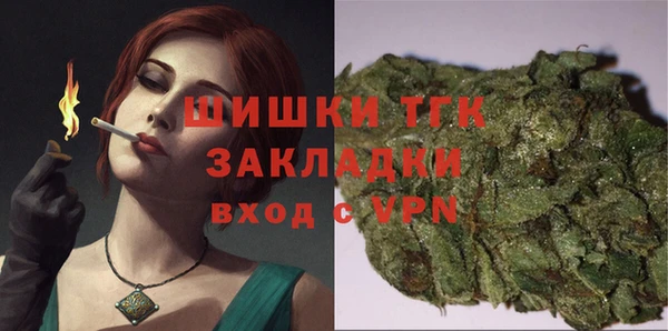 индика Новокубанск