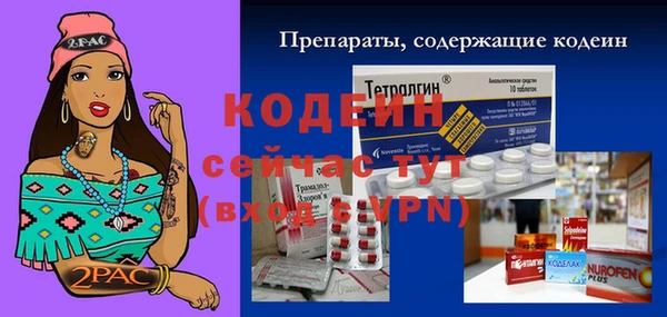 индика Новокубанск