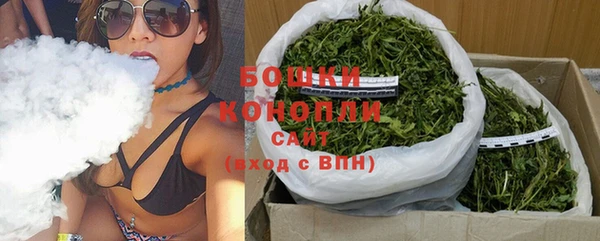 крисы Новозыбков