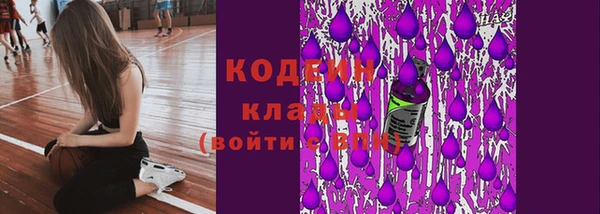 индика Новокубанск