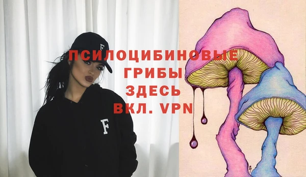 крисы Новозыбков