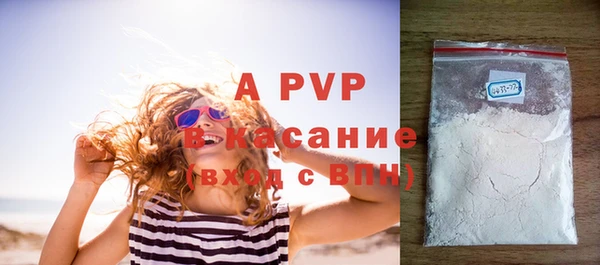 крисы Новозыбков
