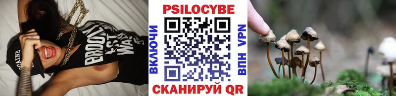 kraken как войти  Биробиджан  Псилоцибиновые грибы Magic Shrooms 