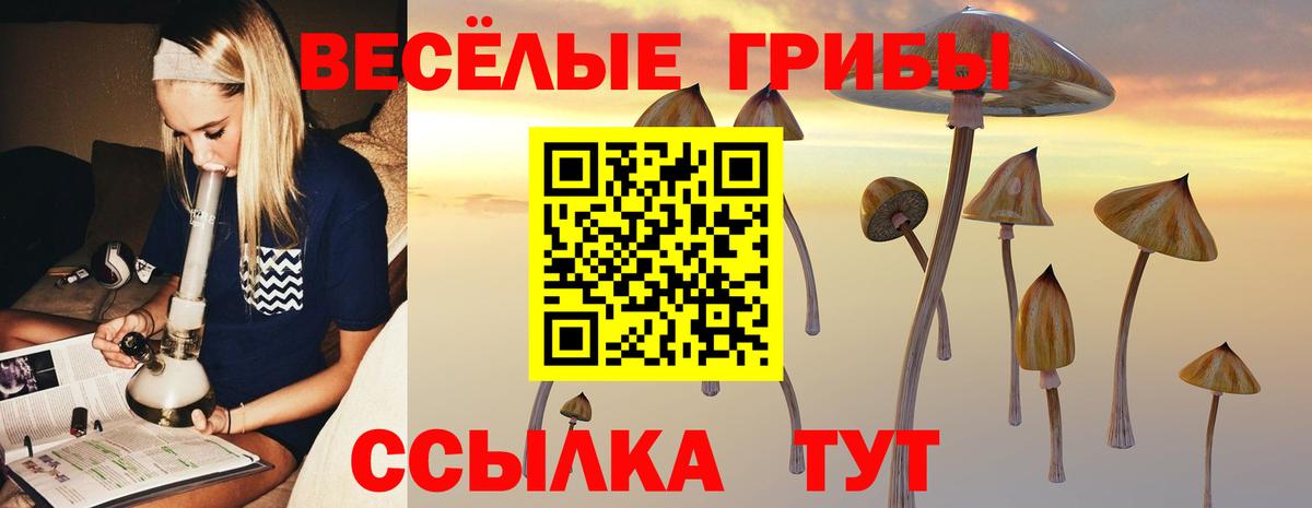Псилоцибиновые грибы мухоморы  где купить наркоту  Биробиджан 