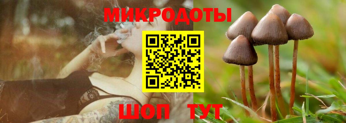 Биробиджан  Галлюциногенные грибы прущие грибы  Галлюциногенные грибы прущие грибы  Вход с VPN 