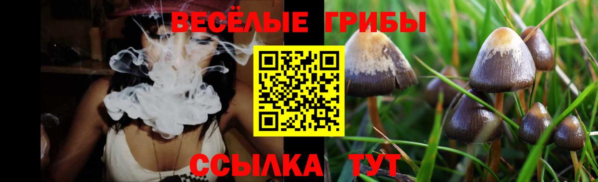 Псилоцибиновые грибы мицелий Биробиджан